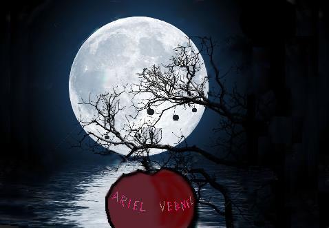 INCANTESIMI X LEGAMENTI D'AMORE